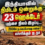 UN-state-of-the-forest-report-2026-10-ad67817705519d5fa140e320ad40ff19-1200x800-1