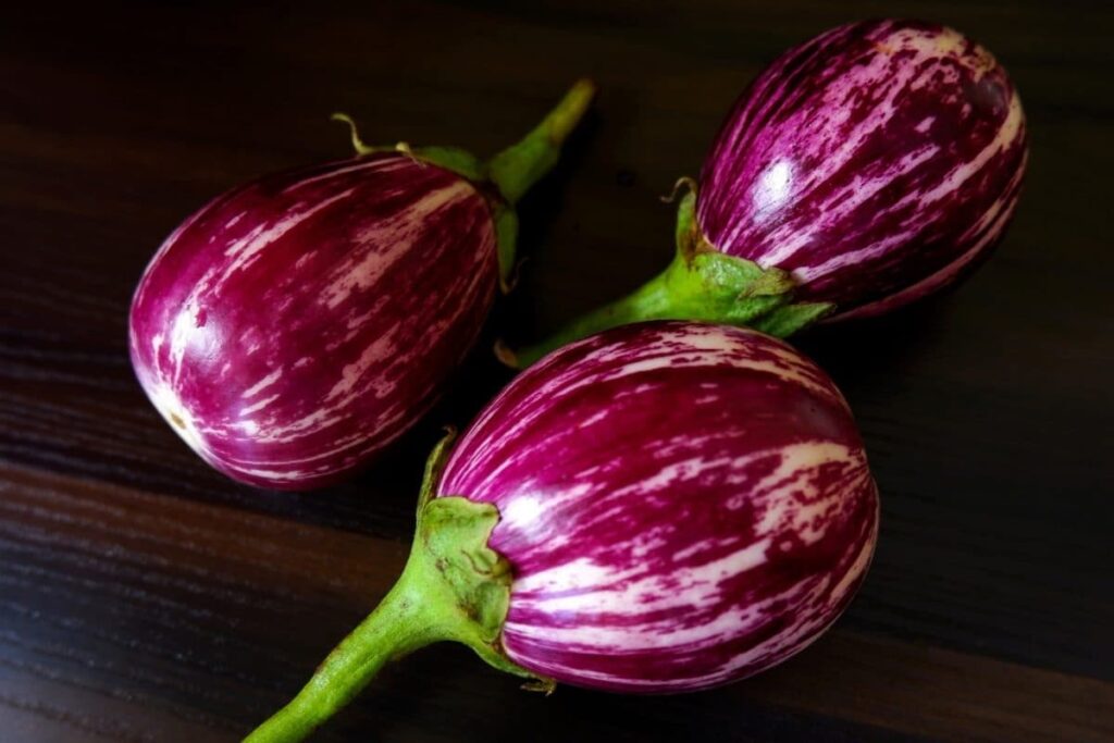 brinjal-2026-10-bbdf4d0d4a95e095dab0cc1317f49171-1200x800-1