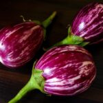 brinjal-2026-10-bbdf4d0d4a95e095dab0cc1317f49171-1200x800-1