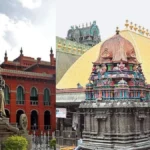 chidambaramnatarajartemplecase-21951793365870