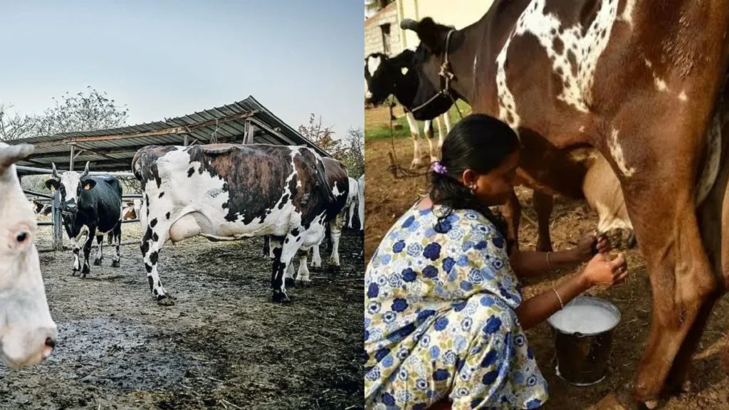 cowscheme-tile-27561793105564