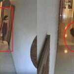 crime-2026-10-088393d63f09a7033c34d3e0ee0c12a8-1200x800-1