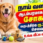 dogbanner1-61111792567450