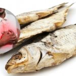 dry-fish-8-2026-10-cf1549a326070c7a0d354c8a52222b2b-1200x800-1