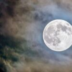 feature-image-2026-10-04T222053.038-2026-10-566ee7e6c59a635a9b9334409fb2fd43-1200x800-1