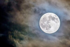 feature-image-2026-10-04T222053.038-2026-10-566ee7e6c59a635a9b9334409fb2fd43-1200x800-1