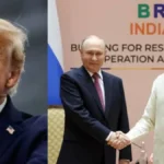 india14-25661792228142