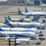 indigo-86101791450479