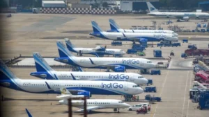 indigo-86101791450479