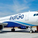 indigo1-28591793292040
