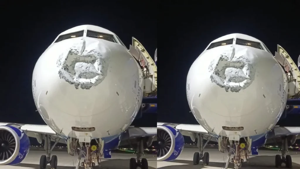 indigo1-98731791395866