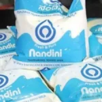 nandini-22341793285561
