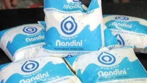 nandini-22341793285561