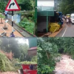 nilgiriheavyrain-68211792821982