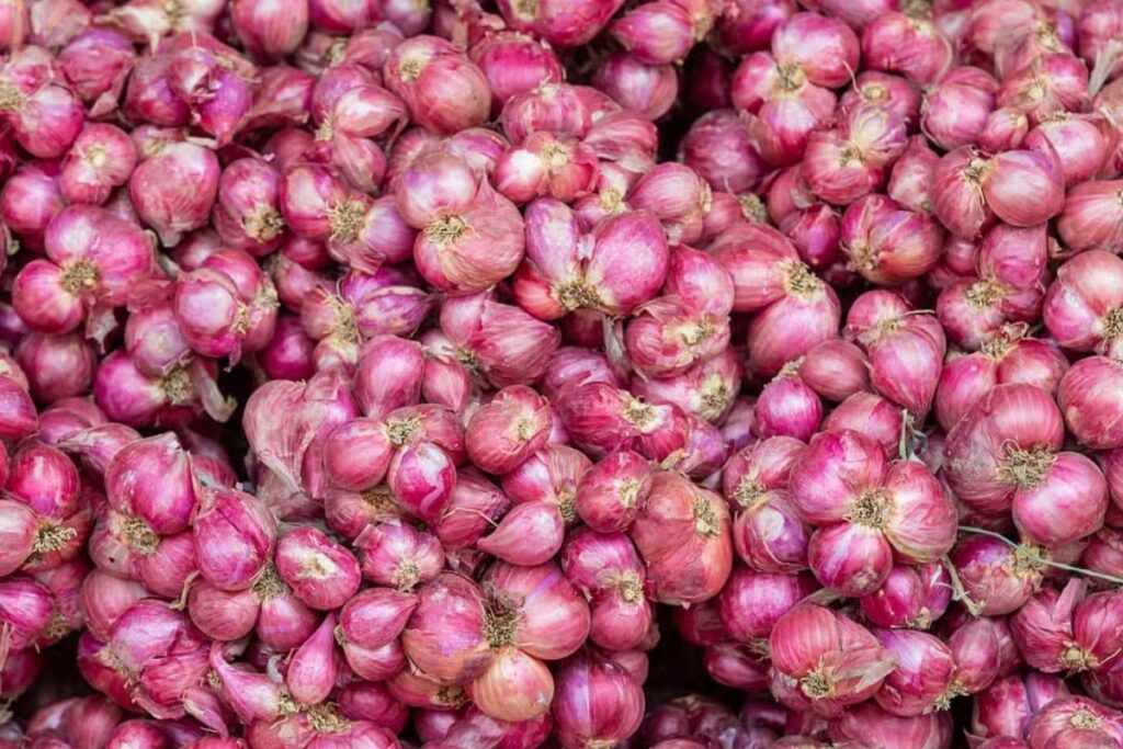 onion-2026-10-10f0bc9132a13ac7c1e5612046767dae-1200x800-1