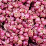 onion-2026-10-10f0bc9132a13ac7c1e5612046767dae-1200x800-1