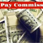 pay6-25341791616550