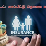 pfinsurance1-12991790841966
