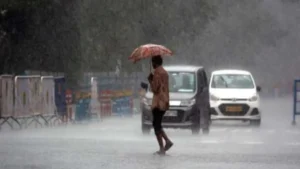 rainin7district-62511792635727