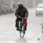 rainsd-42081791361785