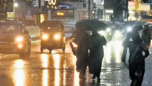 rainse-67931792765221