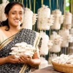 shijemushroombanner-32411792741319