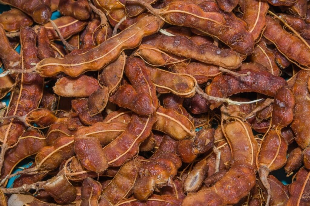tamarind-2026-10-812bab6dd05821747cd7f567ad2974d4-1200x800-1