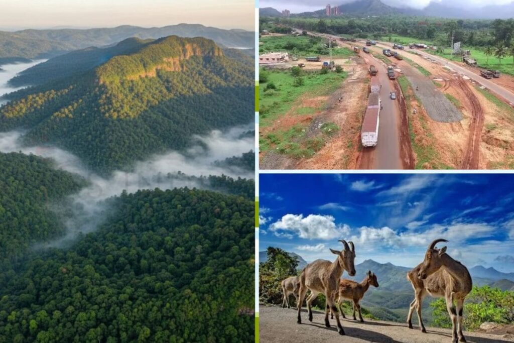 western-ghats-image-1-2026-10-9a1c8b45b04b6377d7b531703c775be3-1200x800-1