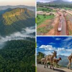 western-ghats-image-1-2026-10-9a1c8b45b04b6377d7b531703c775be3-1200x800-1